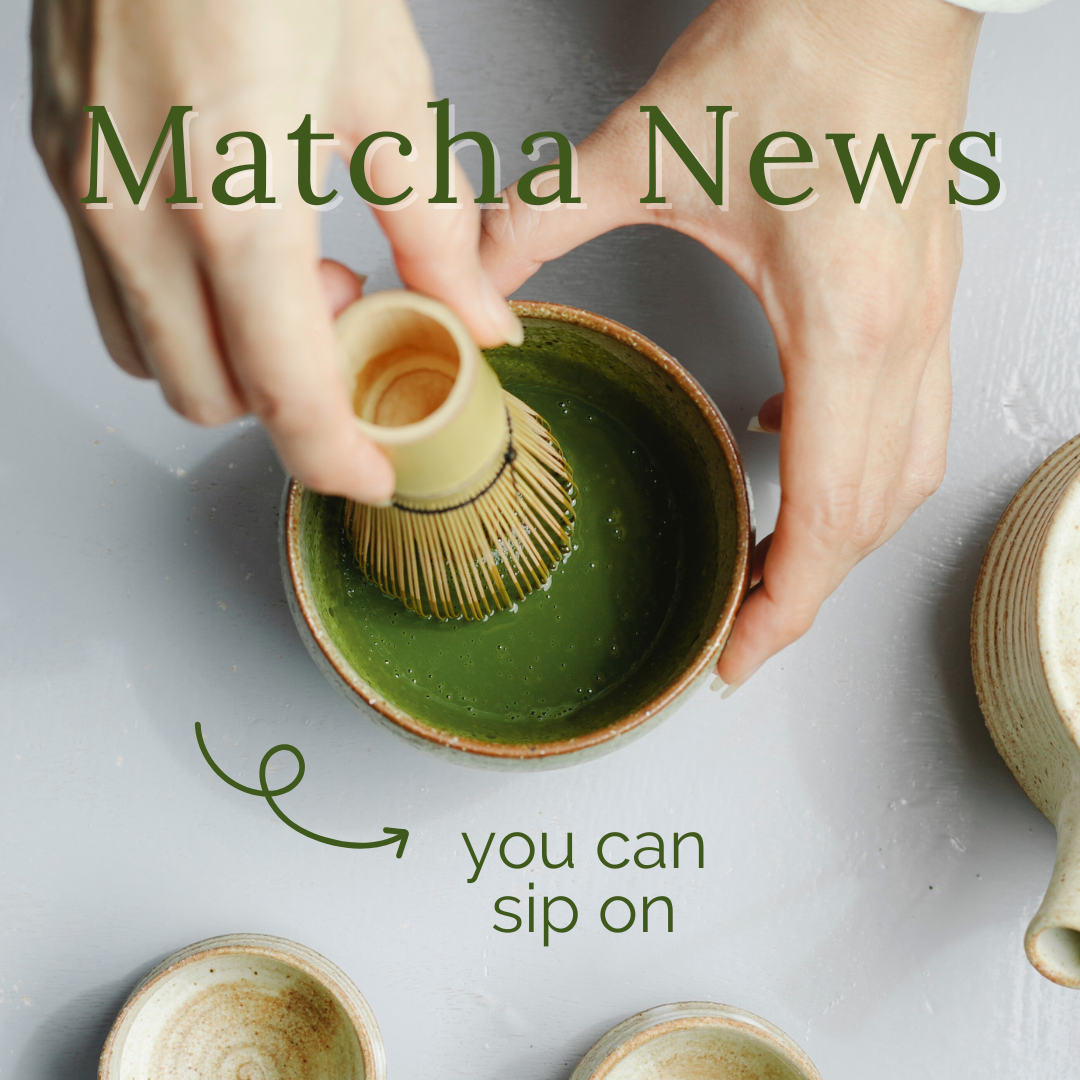 A hand whisking a bowl of matcha green tea